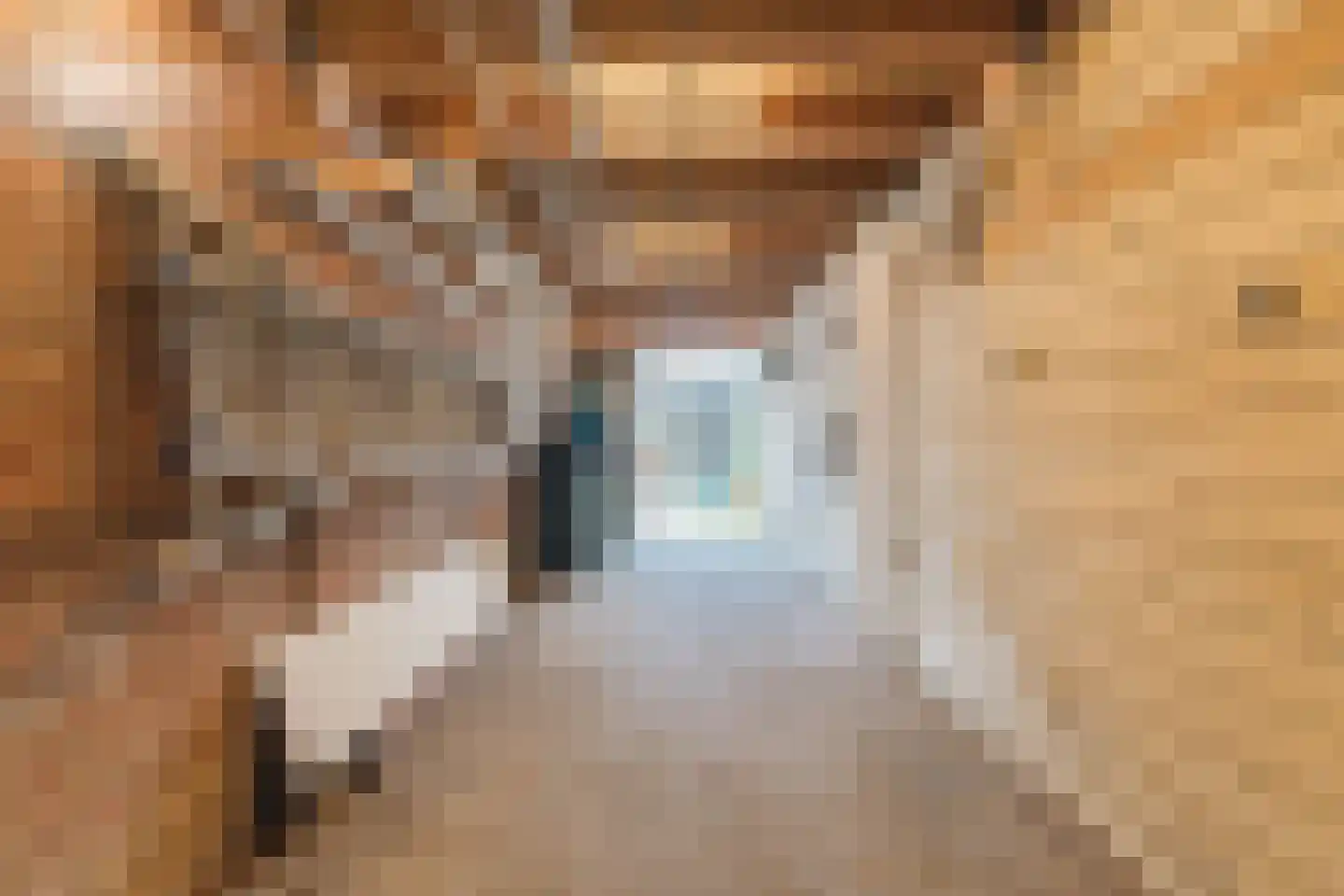 Honingklaver 1 Culemborg thumbnail 30