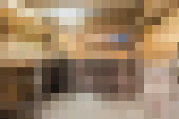Honingklaver 1 Culemborg thumbnail 31