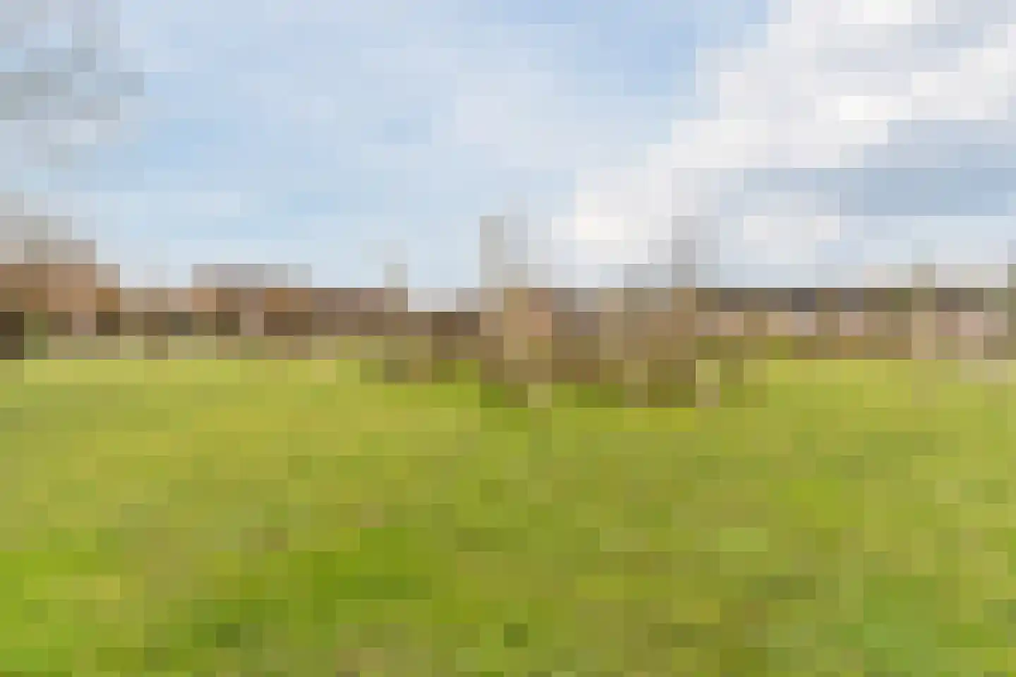 Honingklaver 1 Culemborg thumbnail 34