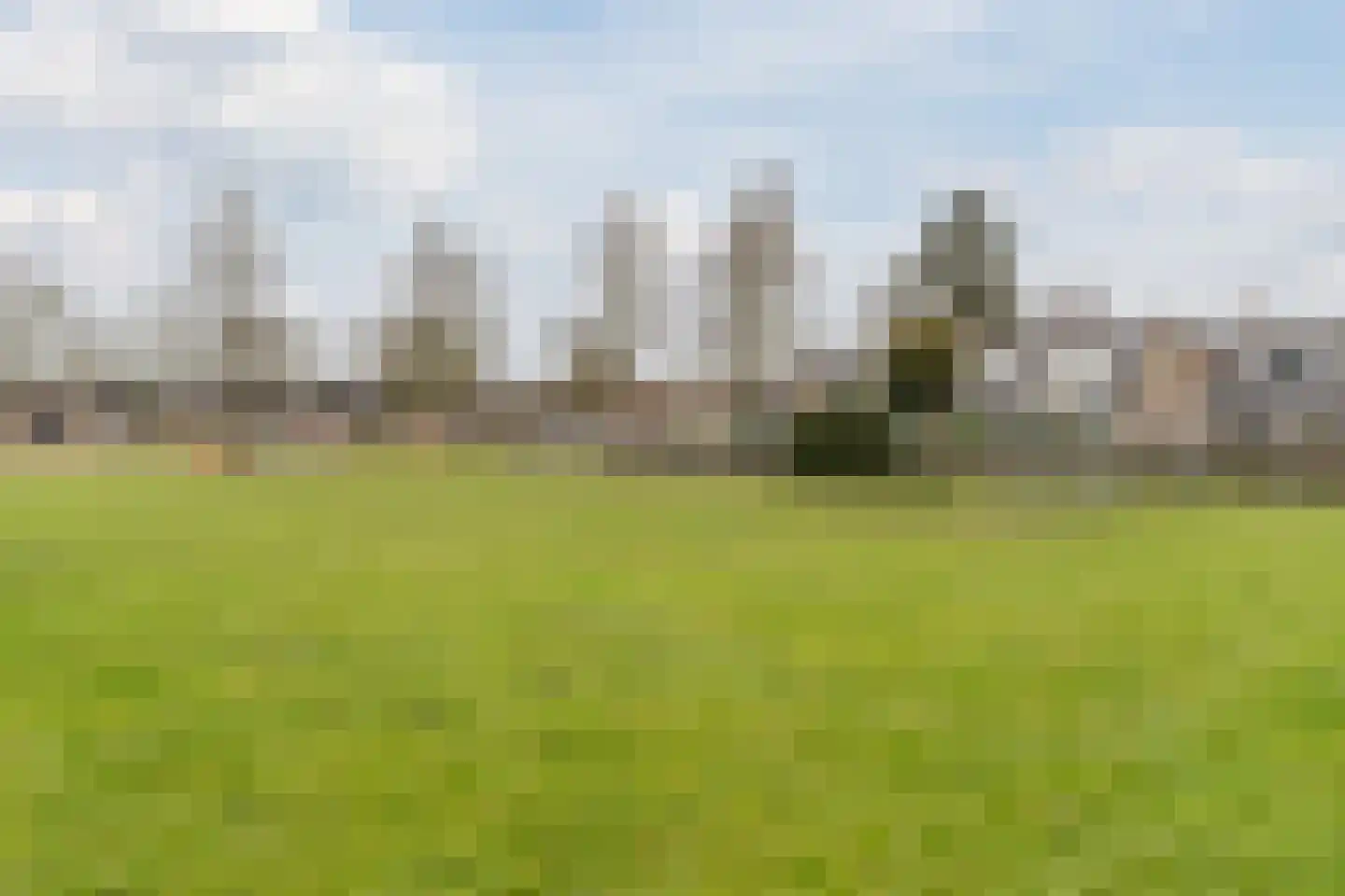 Honingklaver 1 Culemborg thumbnail 35
