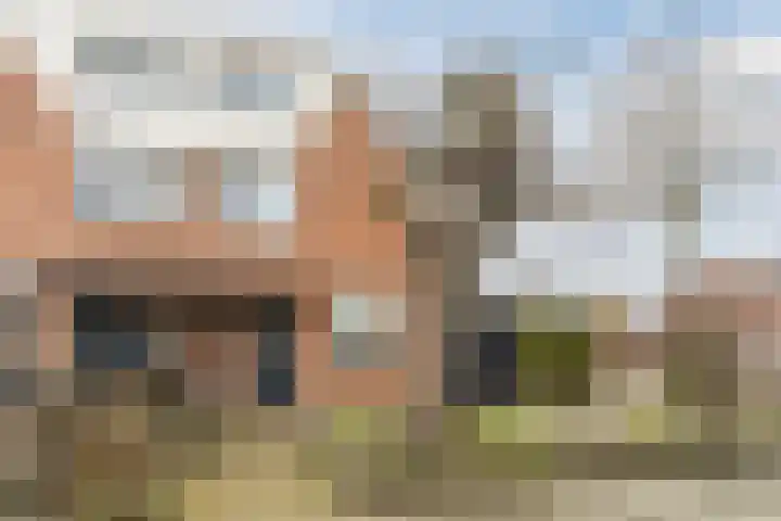 Honingklaver 1 Culemborg thumbnail 4