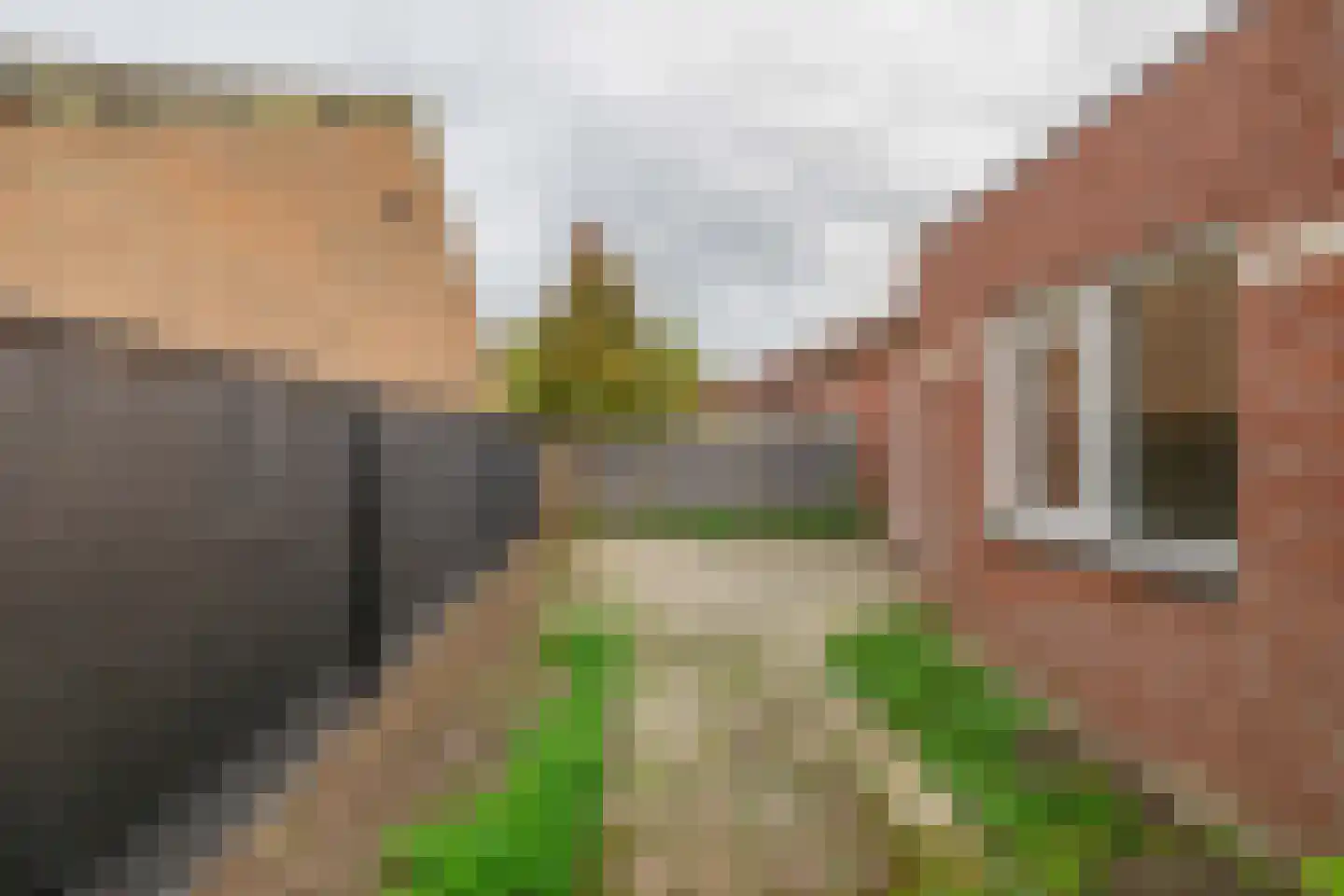 Honingklaver 10 Venlo thumbnail 26