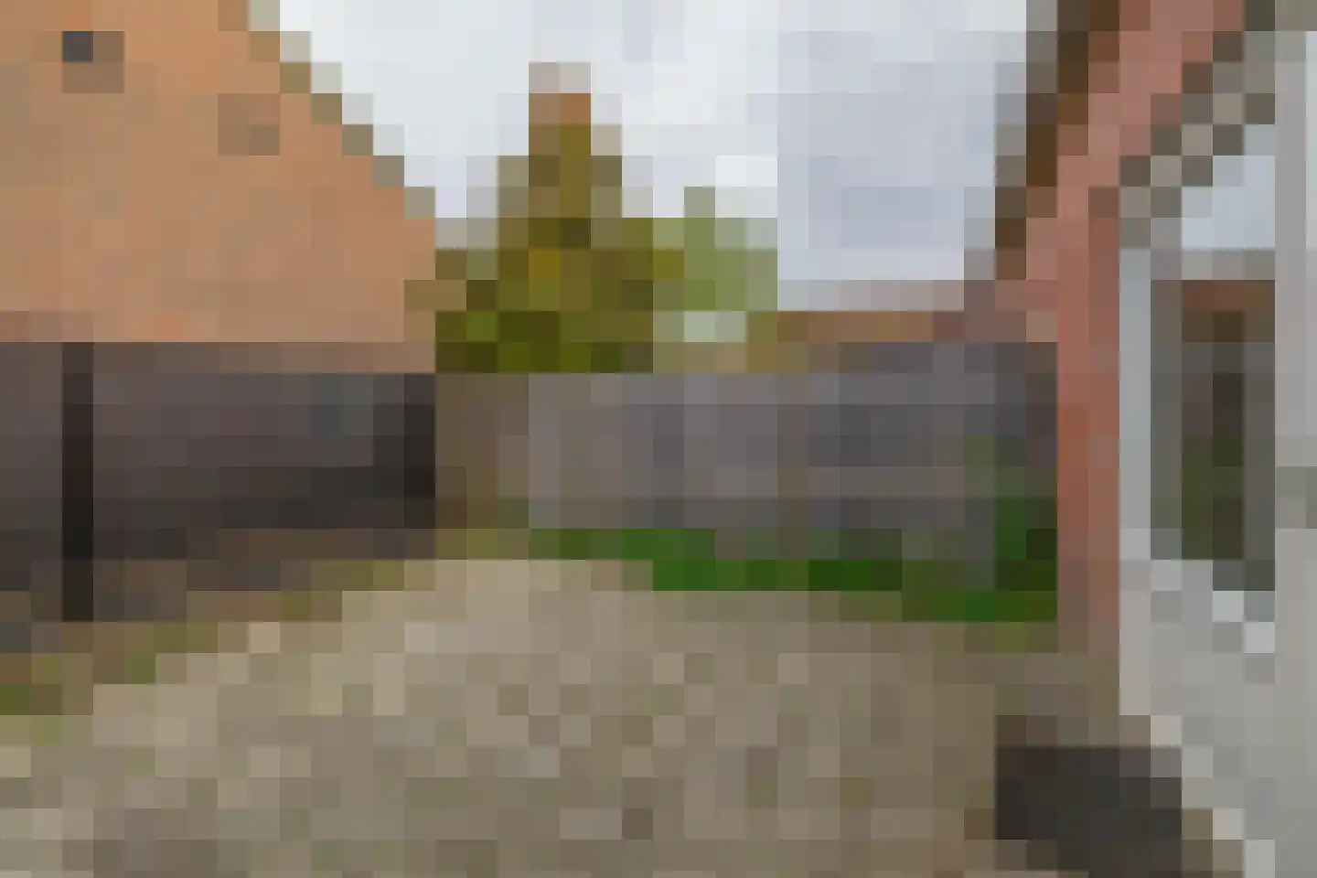 Honingklaver 10 Venlo thumbnail 27