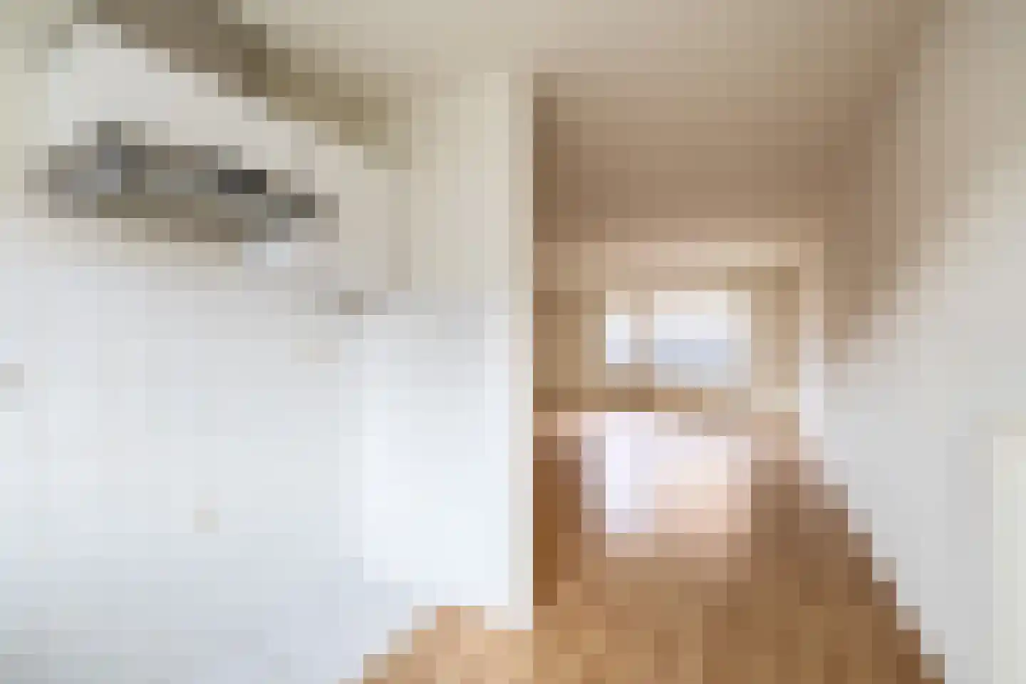 Honingklaver 10 Venlo thumbnail 7