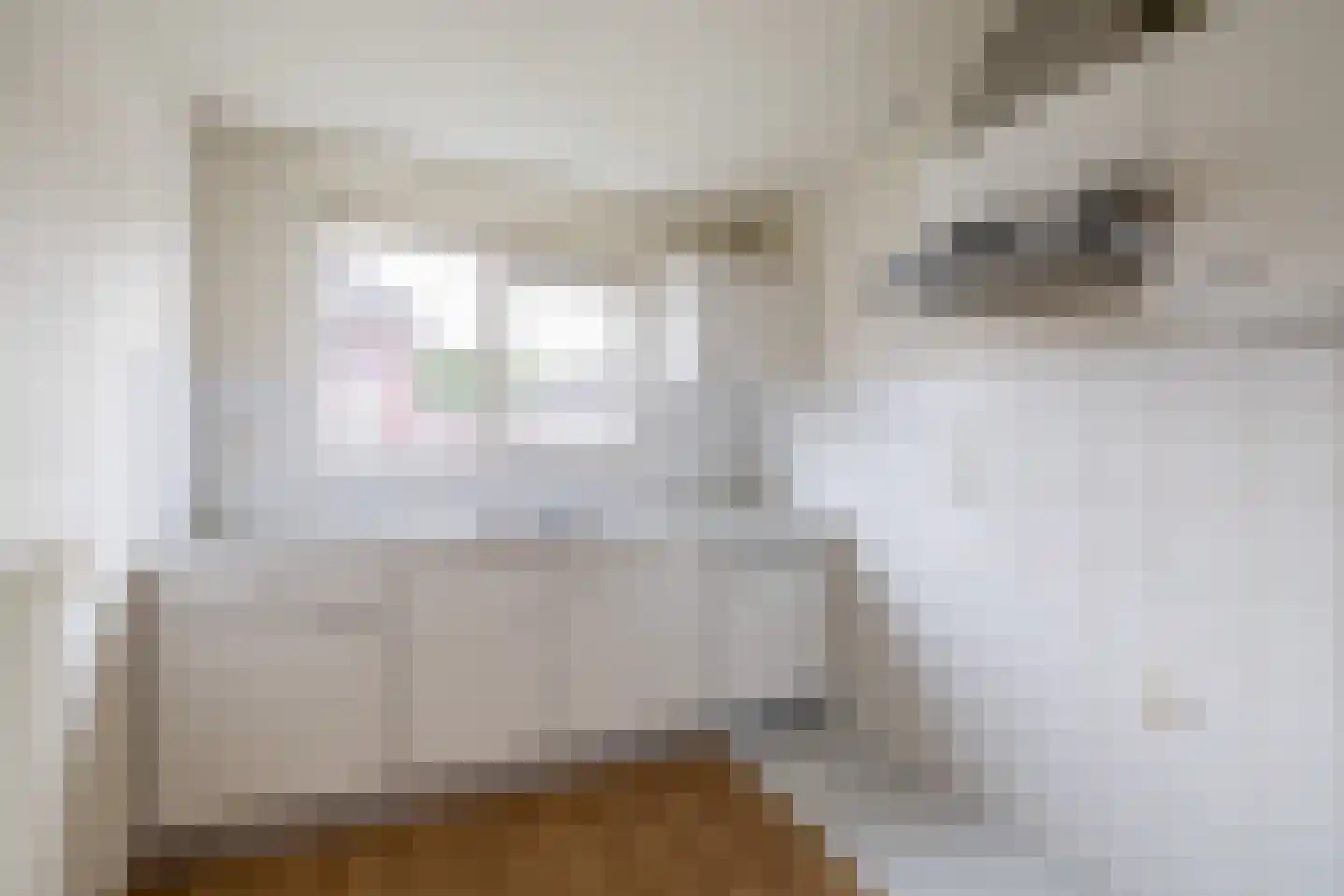 Honingklaver 10 Venlo thumbnail 8