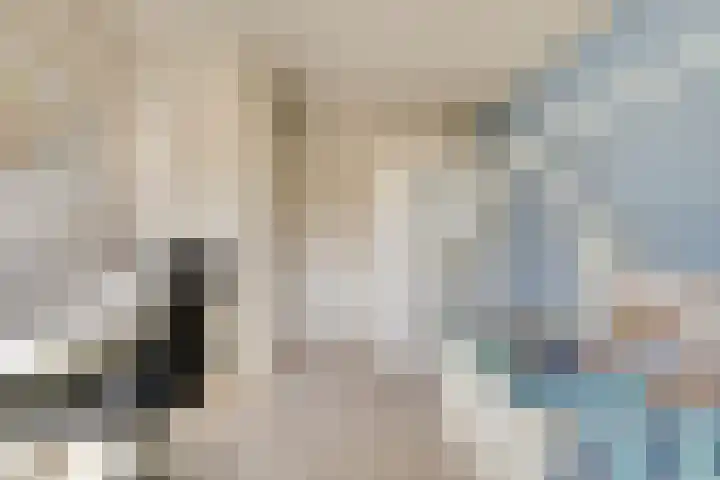 Honingklaver 11 Venlo thumbnail 10