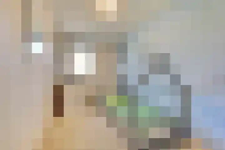Honingklaver 11 Venlo thumbnail 11