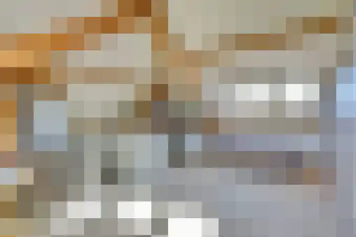Honingklaver 11 Venlo thumbnail 15