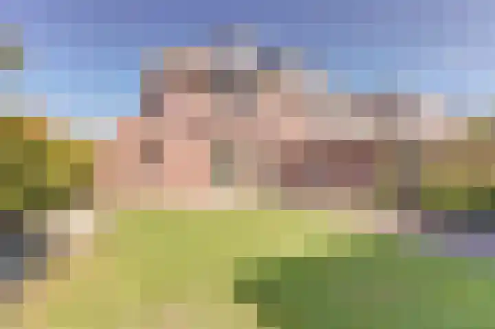 Honingklaver 11 Venlo thumbnail 16