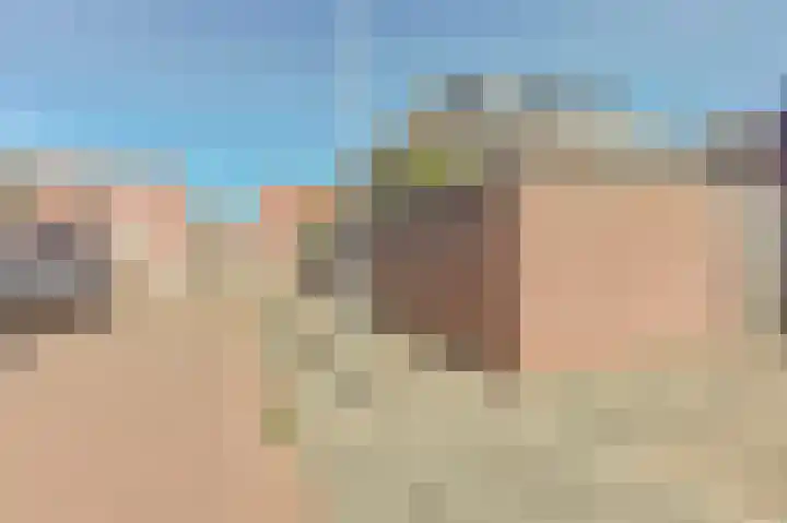 Honingklaver 11 Venlo thumbnail 20