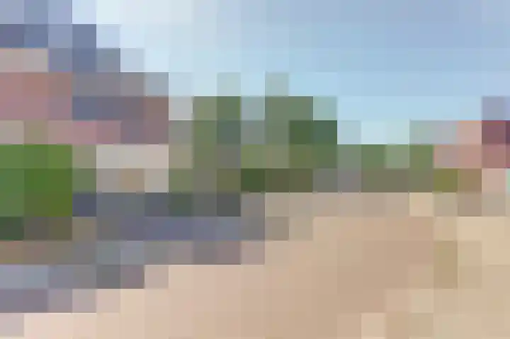 Honingklaver 11 Venlo thumbnail 22