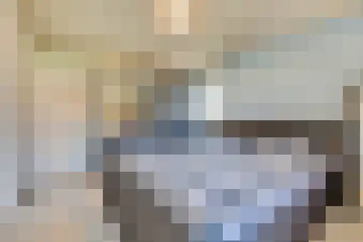 Honingklaver 11 Venlo thumbnail 9