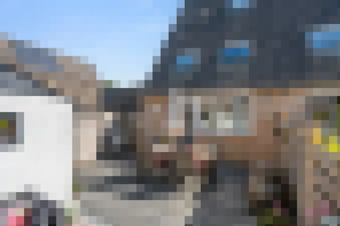 Honingklaver 13 Bennekom thumbnail 11