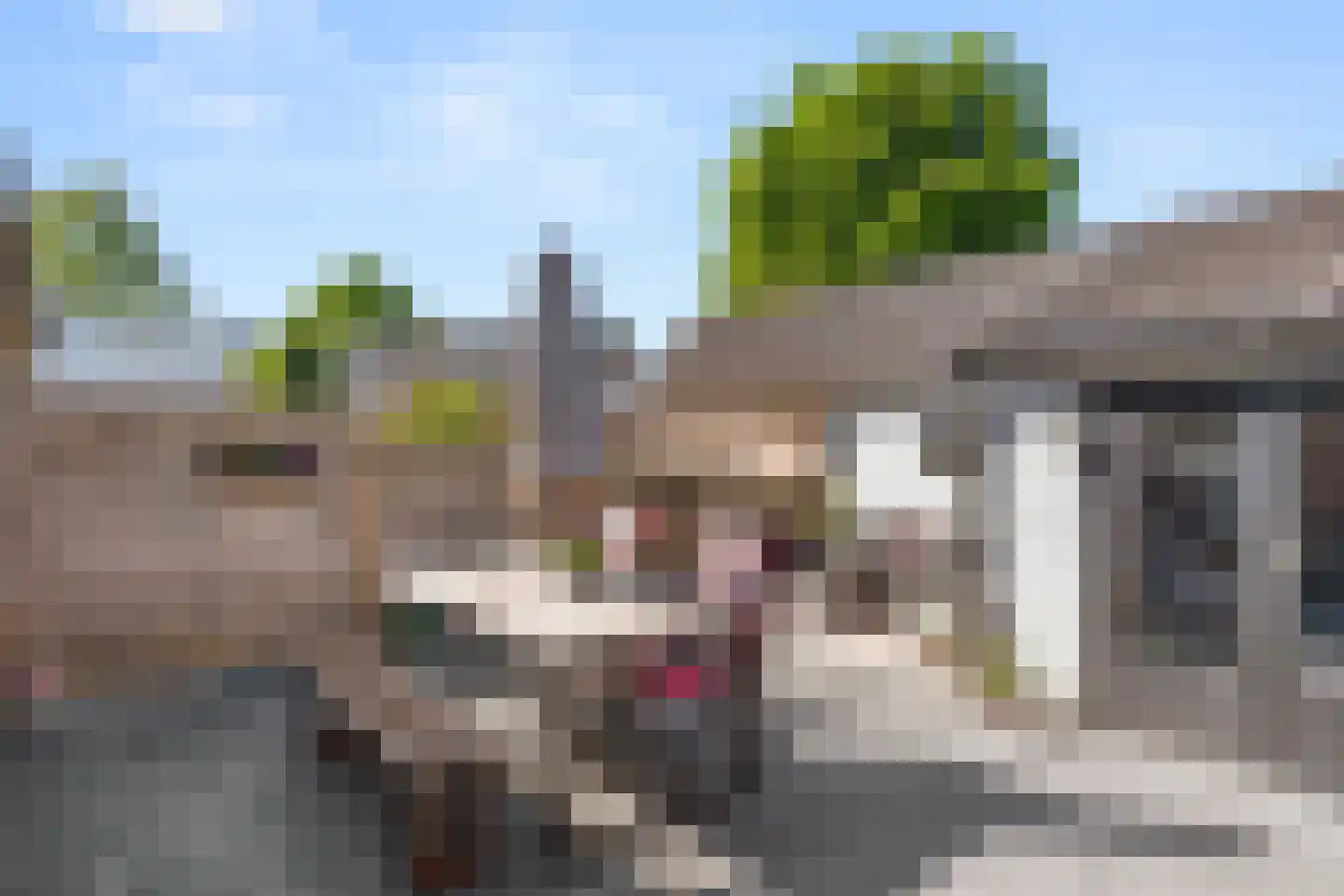 Honingklaver 13 Bennekom thumbnail 14