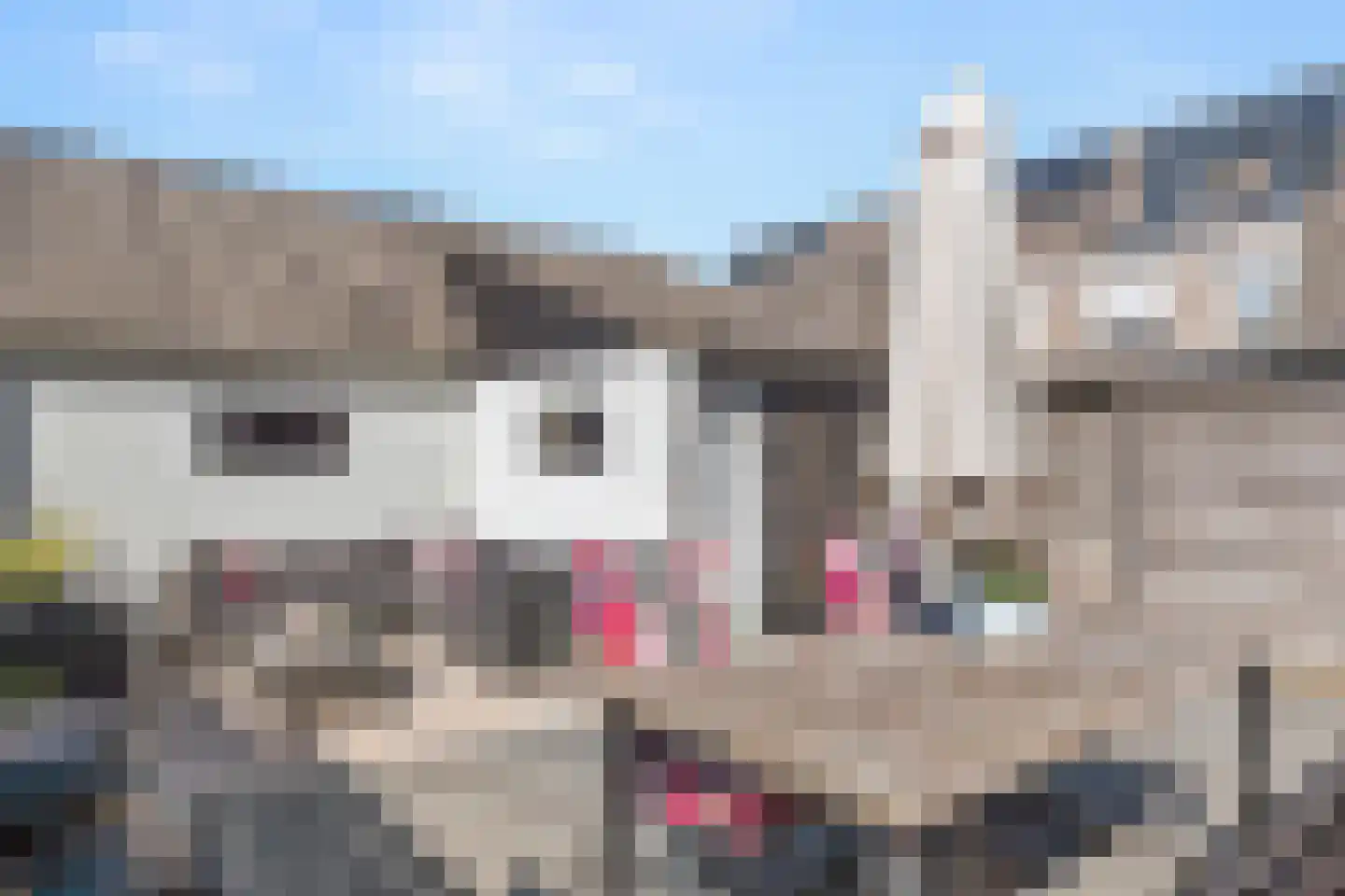 Honingklaver 13 Bennekom thumbnail 15