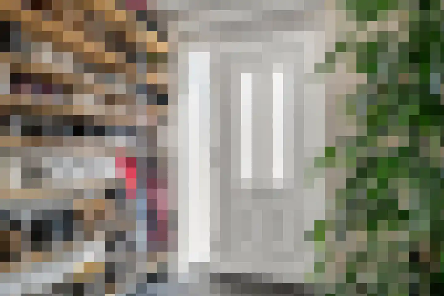 Honingklaver 13 Bennekom thumbnail 17