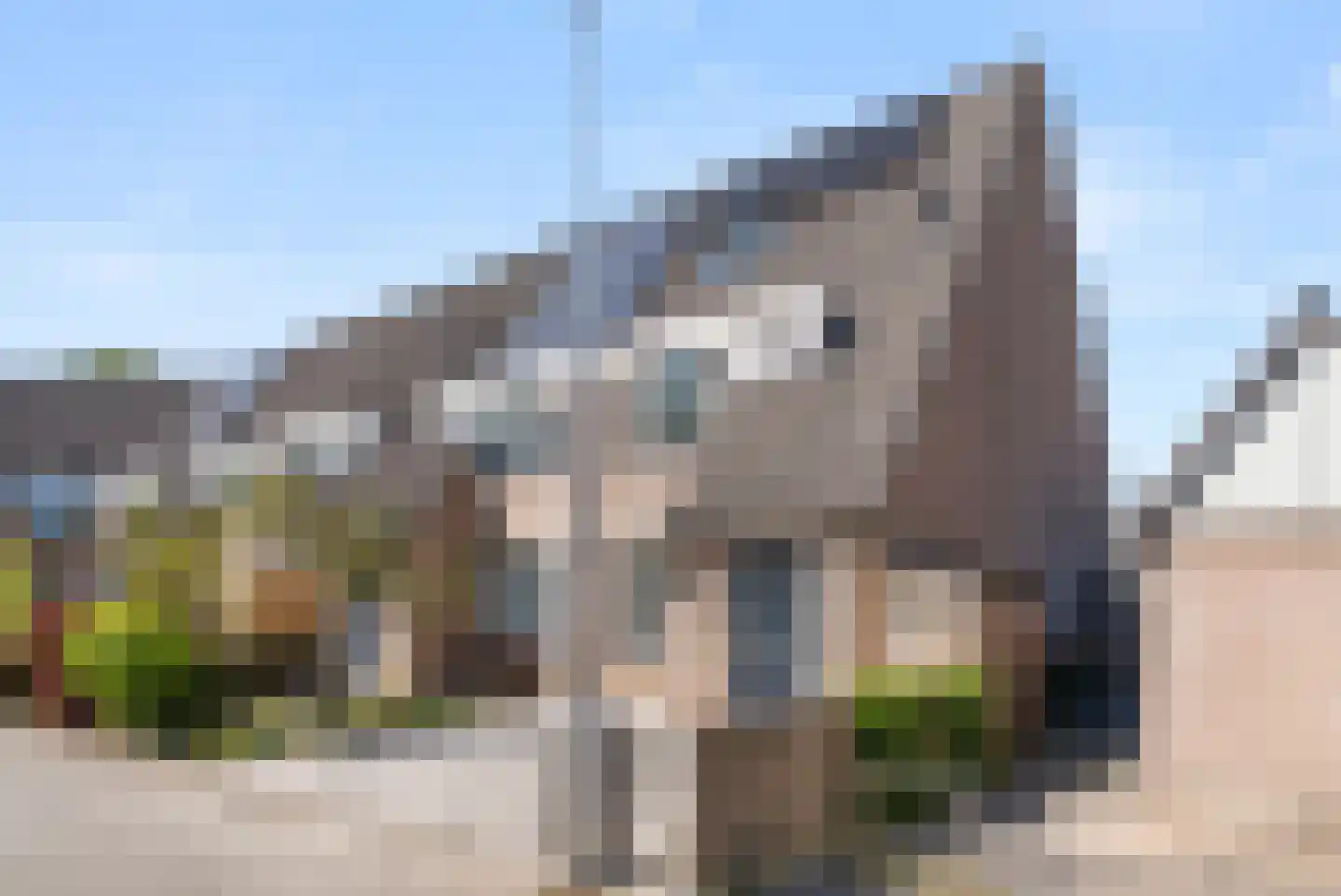 Honingklaver 13 Bennekom thumbnail 8