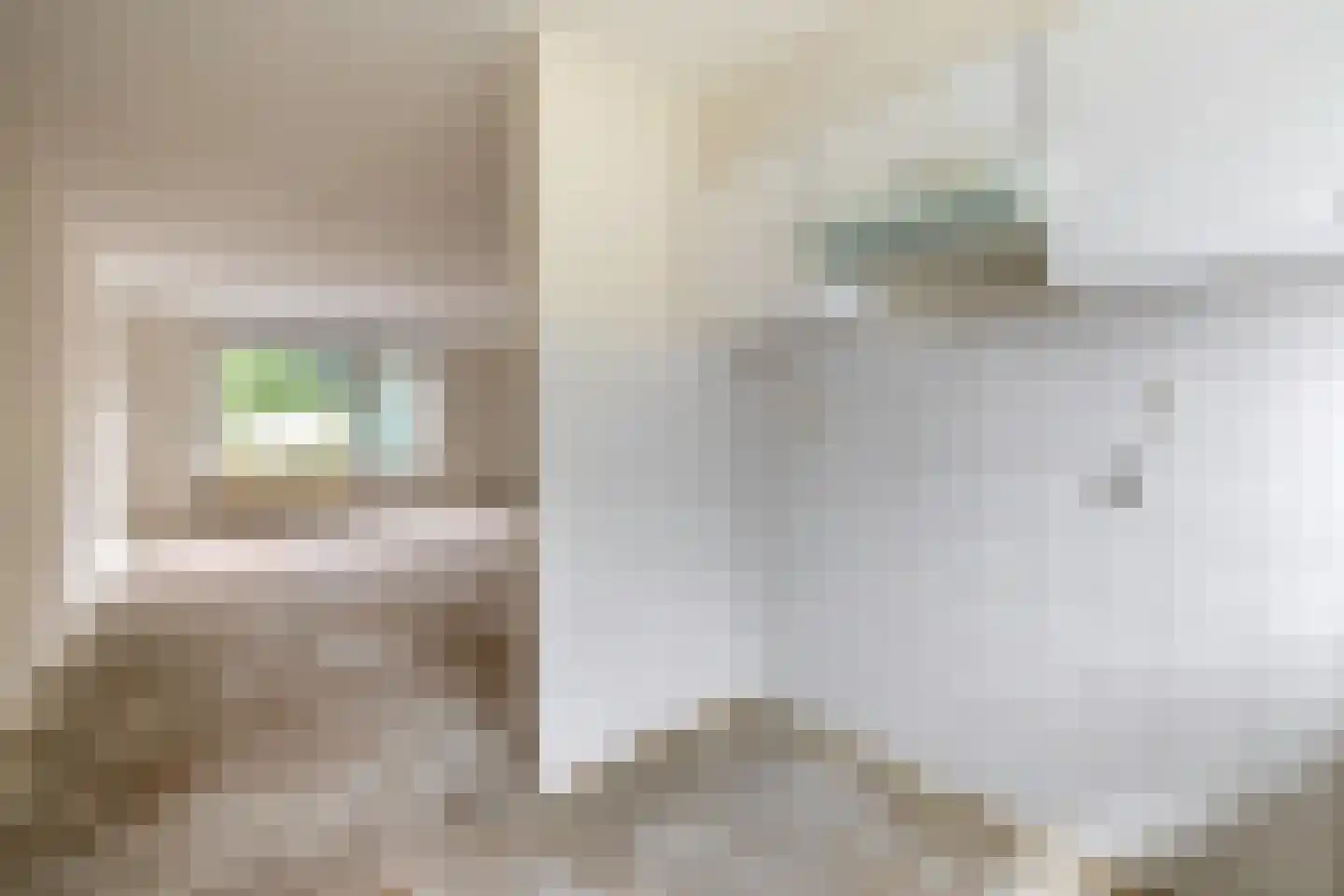 Honingklaver 16 Venlo thumbnail 11