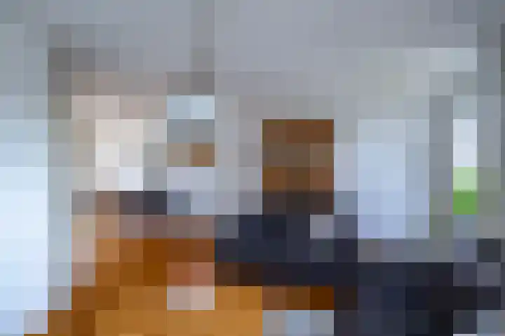 Honingklaver 22 Venray thumbnail 10