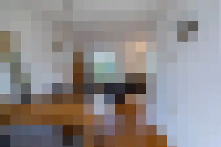 Honingklaver 22 Venray thumbnail 11