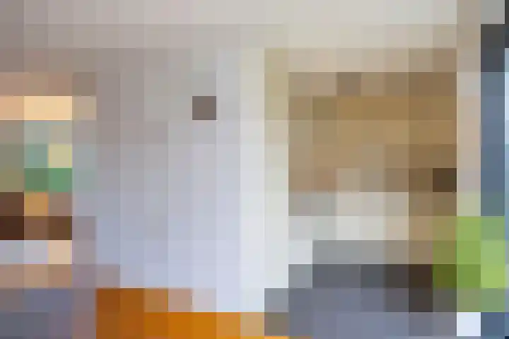 Honingklaver 22 Venray thumbnail 13