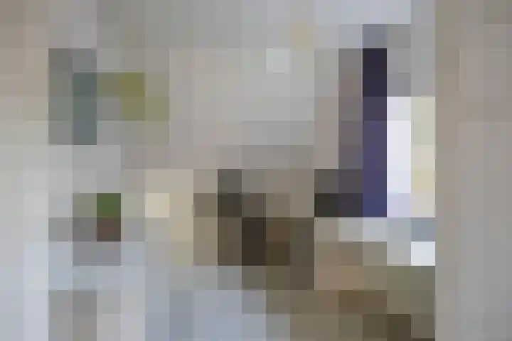 Honingklaver 22 Venray thumbnail 16