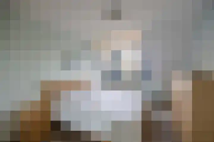 Honingklaver 22 Venray thumbnail 19