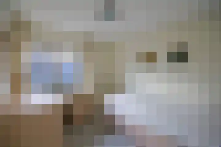 Honingklaver 22 Venray thumbnail 20
