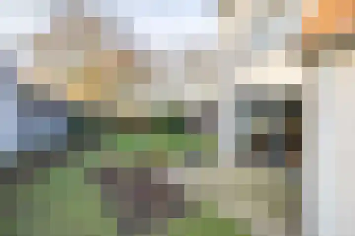 Honingklaver 22 Venray thumbnail 30