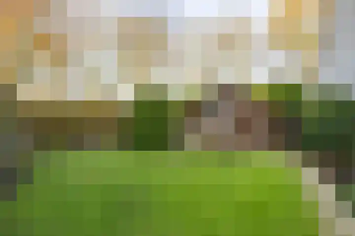 Honingklaver 22 Venray thumbnail 31