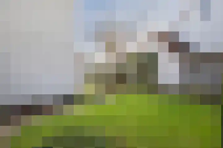 Honingklaver 22 Venray thumbnail 32