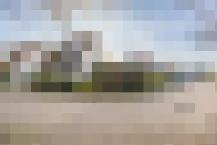 Honingklaver 22 Venray thumbnail 34
