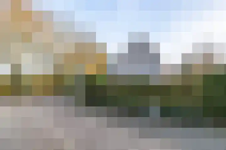 Honingklaver 22 Venray thumbnail 35