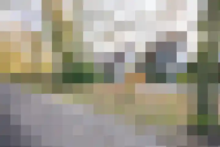 Honingklaver 22 Venray thumbnail 36