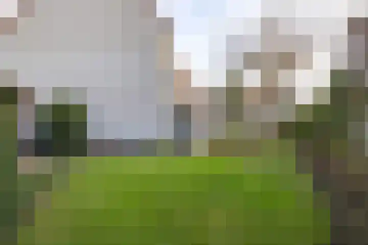 Honingklaver 22 Venray thumbnail 4