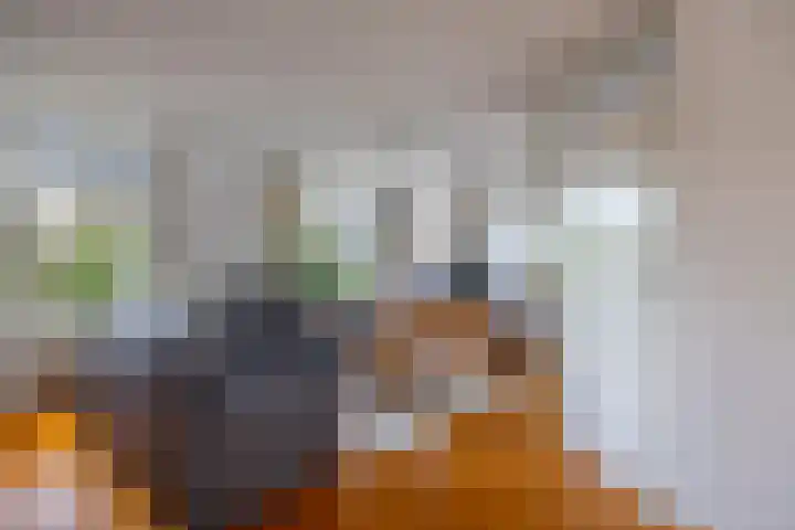 Honingklaver 22 Venray thumbnail 8