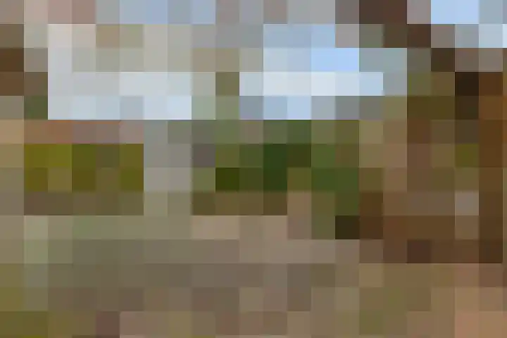 Honingklaver 58 Venlo thumbnail 18