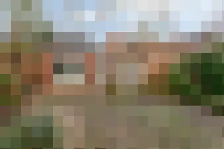 Honingklaver 58 Venlo thumbnail 19