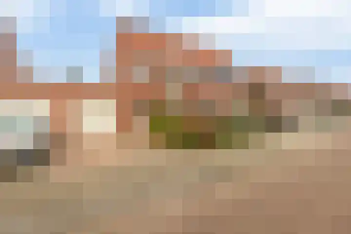 Honingklaver 58 Venlo thumbnail 20