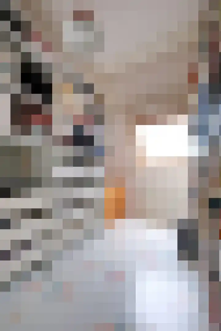 Honingklaver 7 Bennekom thumbnail 13