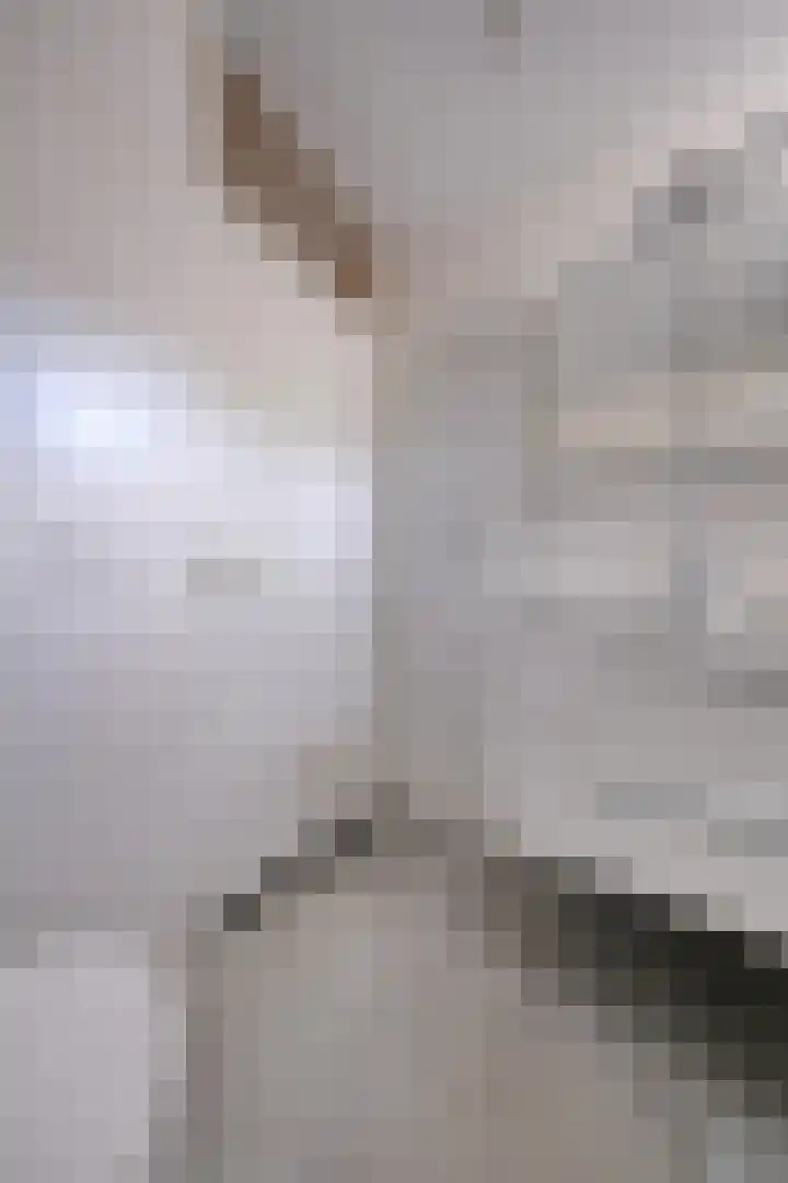 Honingklaver 7 Bennekom thumbnail 15