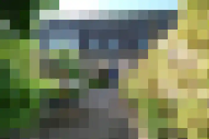 Honingklaver 7 Bennekom thumbnail 21