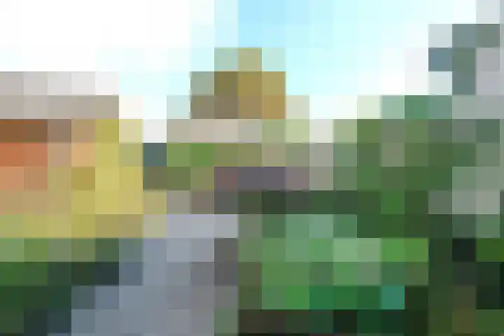 Honingklaver 7 Bennekom thumbnail 22