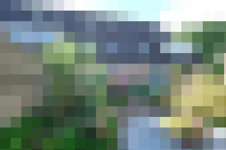 Honingklaver 7 Bennekom thumbnail 23