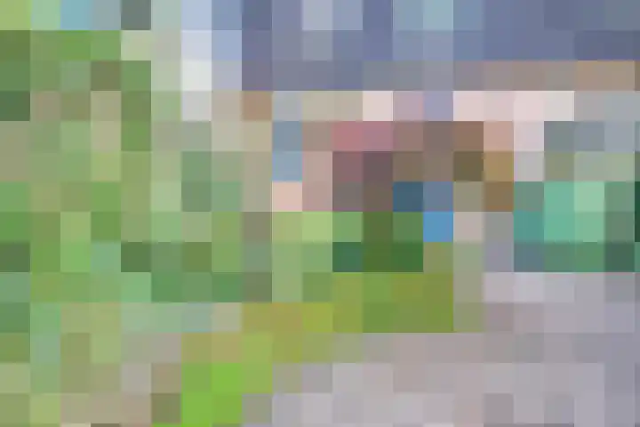 Honingklaver 7 Bennekom thumbnail 24
