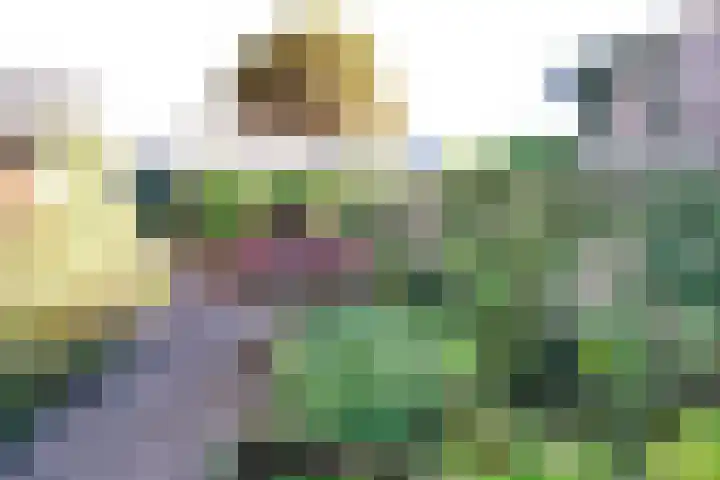 Honingklaver 7 Bennekom thumbnail 25