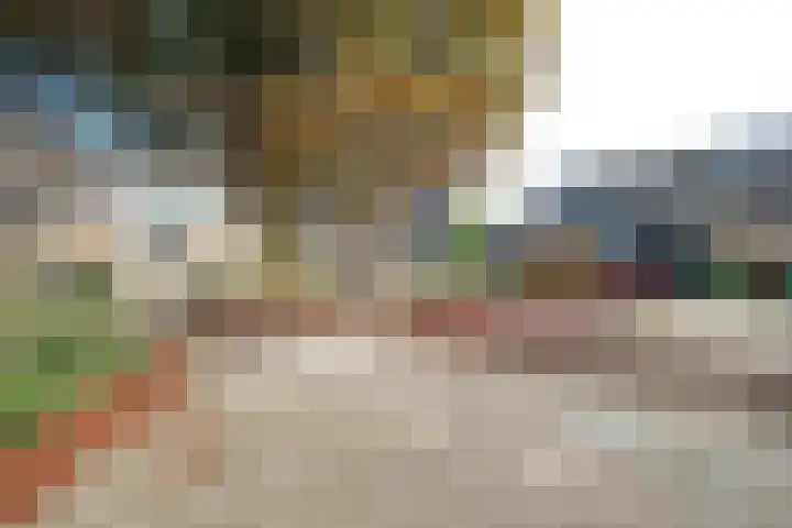 Honingklaver 7 Bennekom thumbnail 26