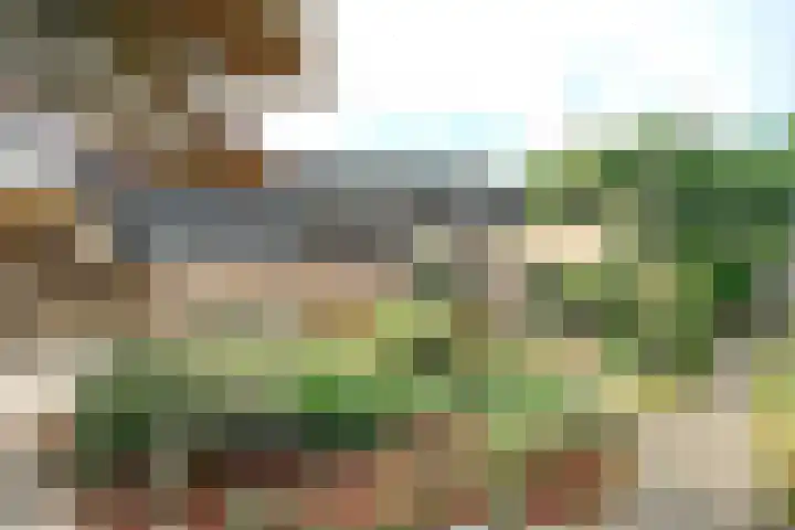 Honingklaver 7 Bennekom thumbnail 27