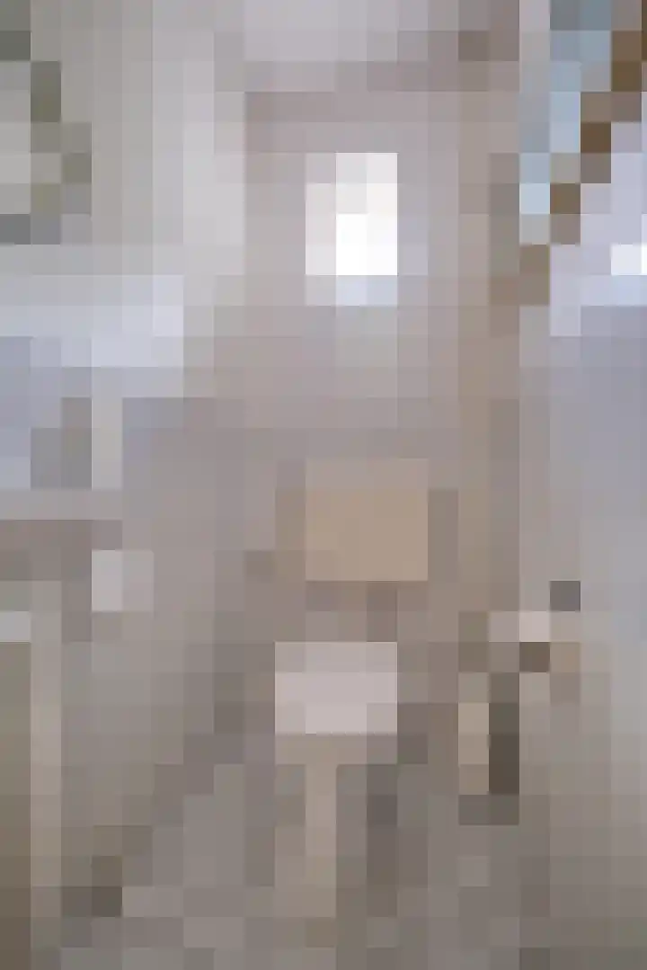 Honingklaver 7 Bennekom thumbnail 9