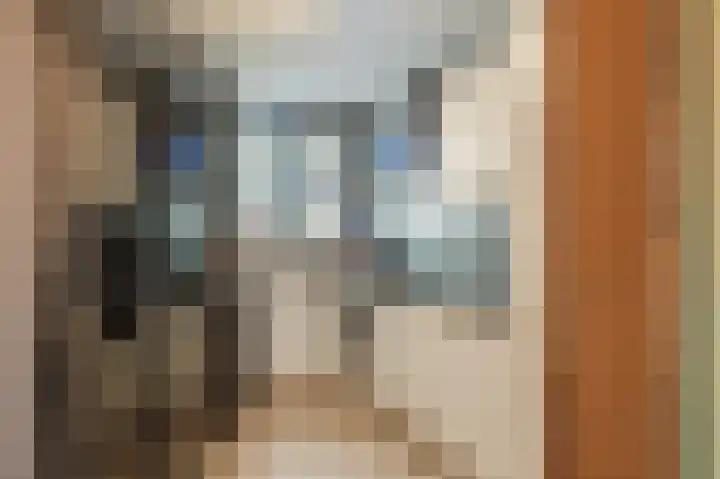 Honingklaver 8 Valkenburg thumbnail 14